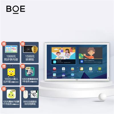 京东方BOE画屏E2 类纸护眼屏 学习机 中小学同步学 大屏 绘本 视力检测