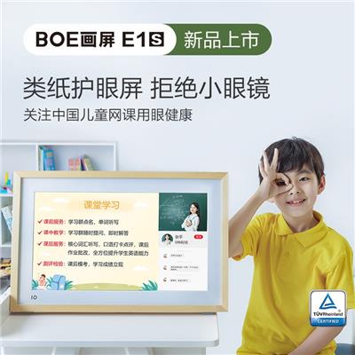 京东方BOE画屏E1S 21.5英寸显示器类纸护眼屏手机投屏网课学习机